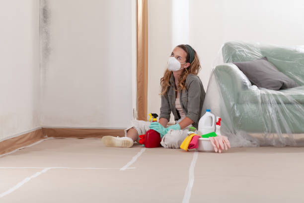 Reliable Black Mold Remediation contractor in Trappe, MD by Mold Remediation HQ